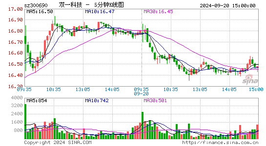 300690双一科技五分K线