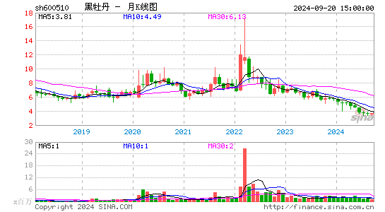 600510黑牡丹月K