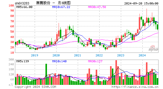 603283赛腾股份月K