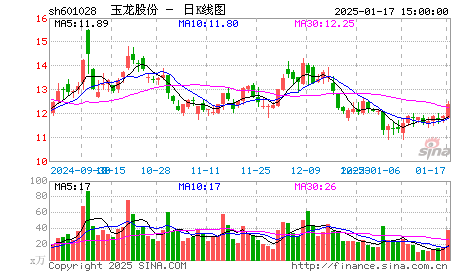 天馬精化(002453):擬收購銀嘉金服10%股權切入支付領域